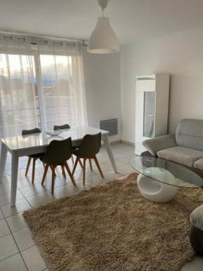 Chez Noah - 70m2 near Geneva